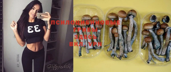 прущая мука Наволоки